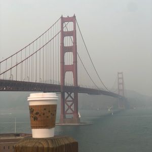 Meet your Posher, Daisy